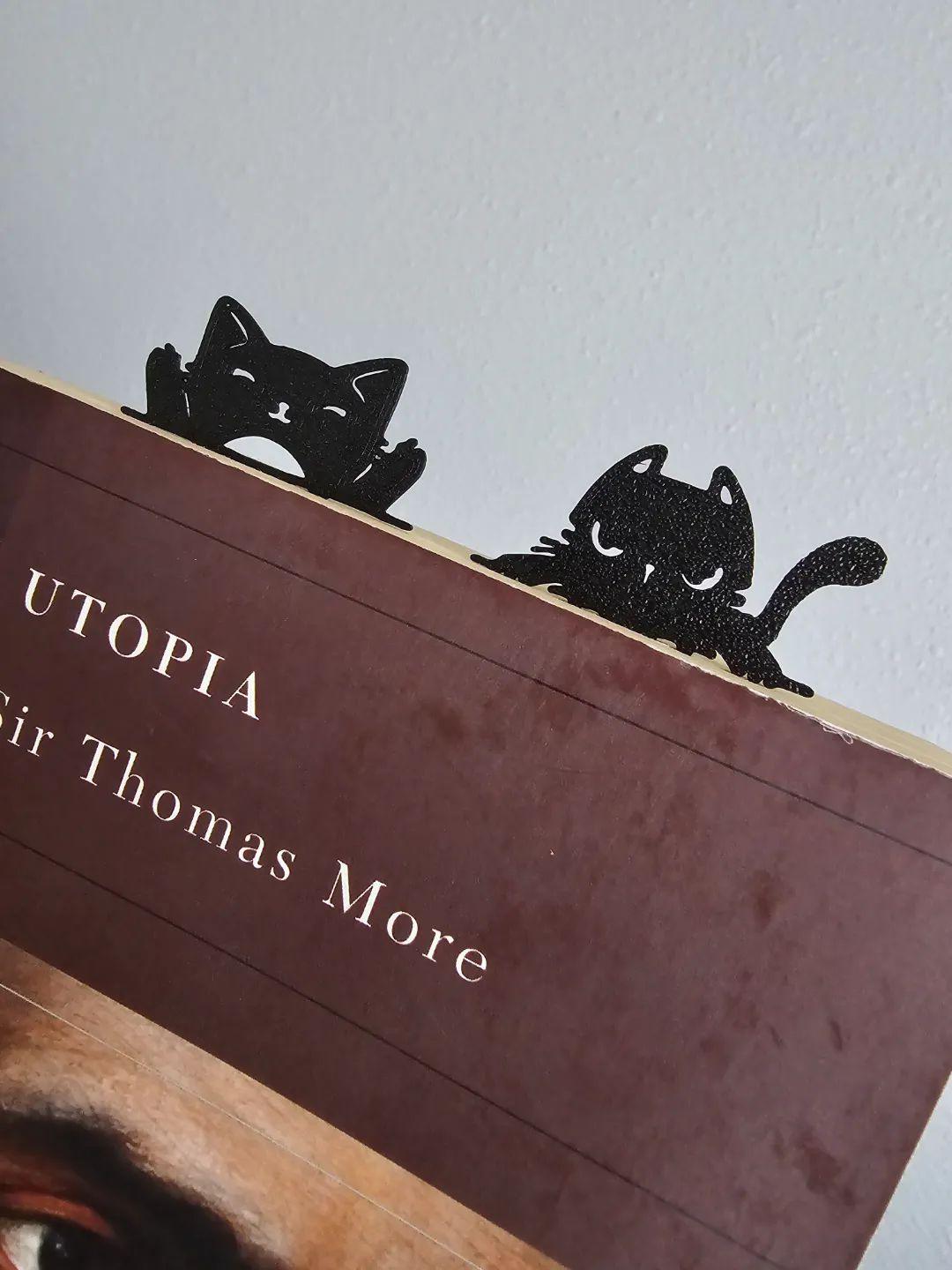 Cat Bookmarks view 2