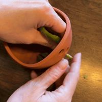 0.16mm layer, 3 walls, 15% infill