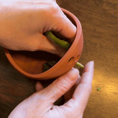 Herb Stripper / Herb Puller