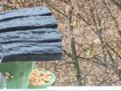 https://makerworld.bblmw.com/makerworld/model/US17982bbcdf63ee/design/2024-11-13_8fea9c61b181e.gif