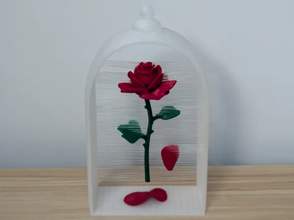 https://makerworld.bblmw.com/makerworld/model/US179ede16c217f3/design/2025-07-27_3c77142bcc439.jpg