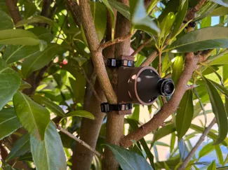 Blink Outdoor Small Pipe, Branch, Hedge, Mount