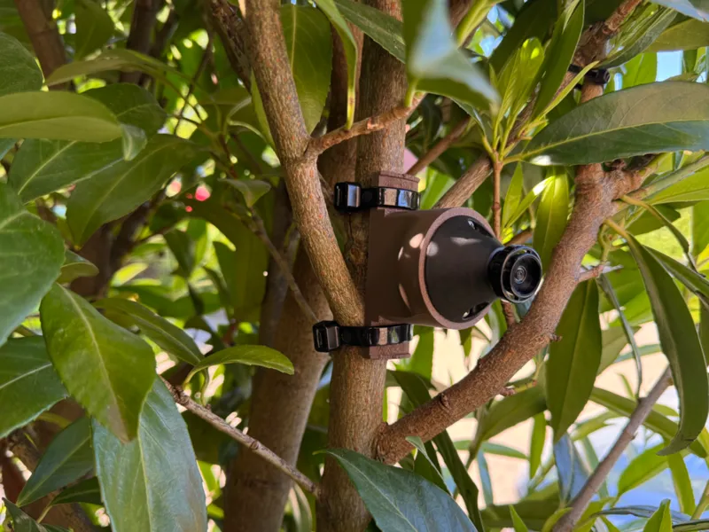 Blink Outdoor Small Pipe, Branch, Hedge, Mount