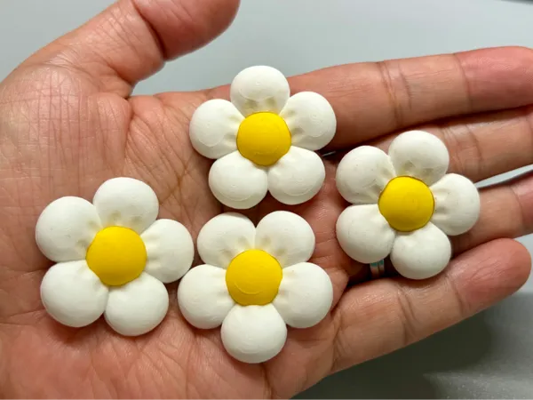 https://makerworld.bblmw.com/makerworld/model/US17a5e0632d18df/design/8ad66982d2225648.jpeg