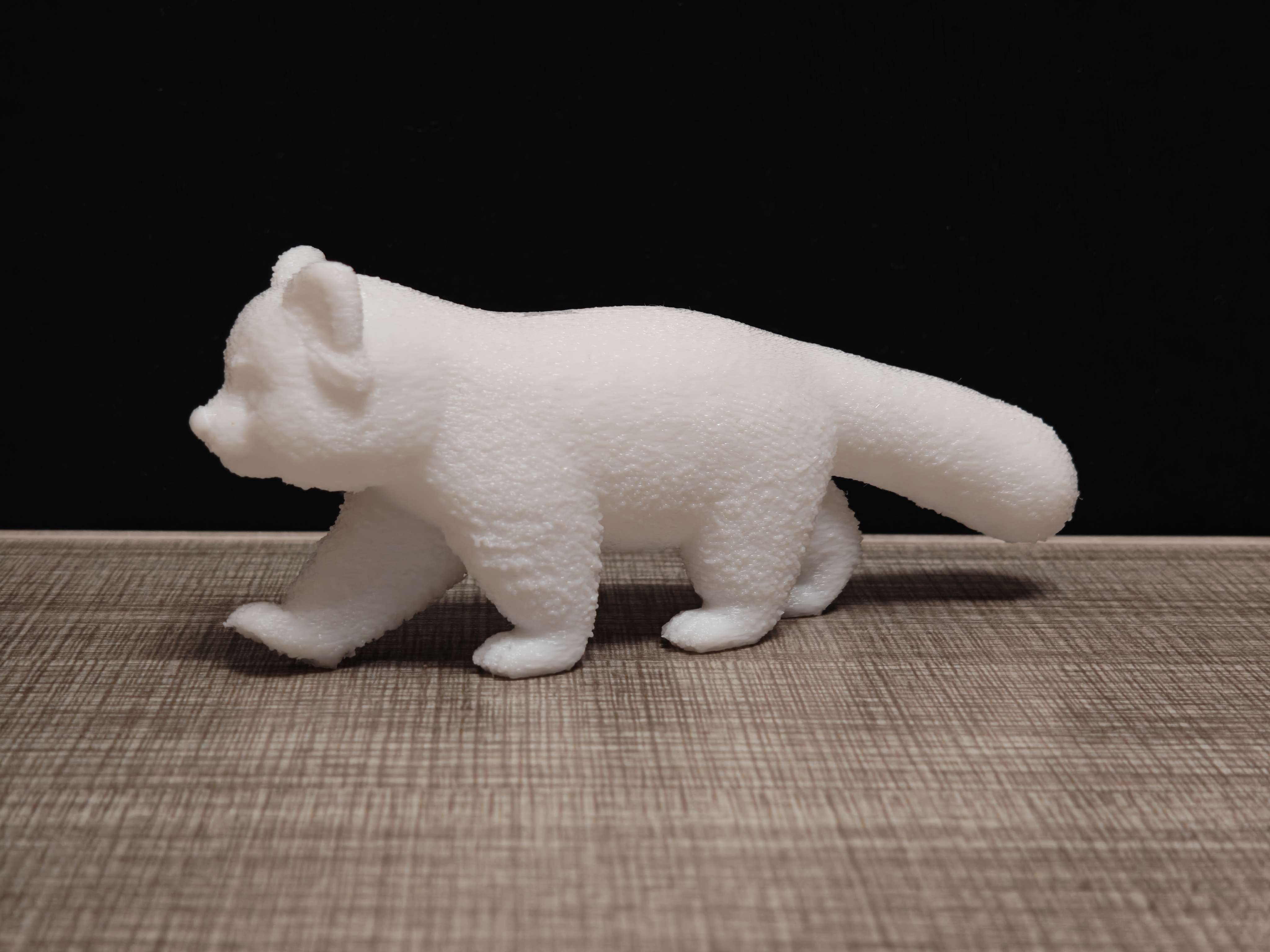Miniatura 1 do modelo 3D 行走的小熊猫（walking red panda）