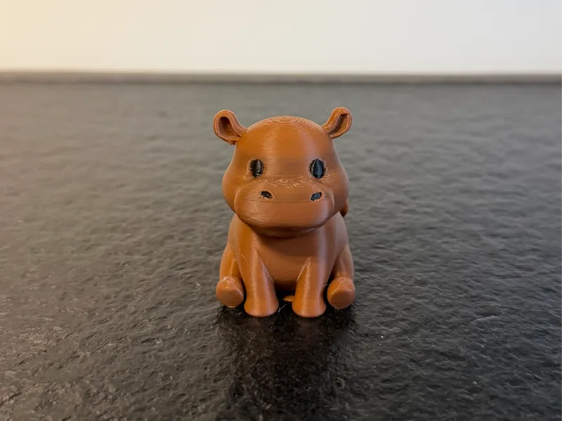 Cute Hippo 