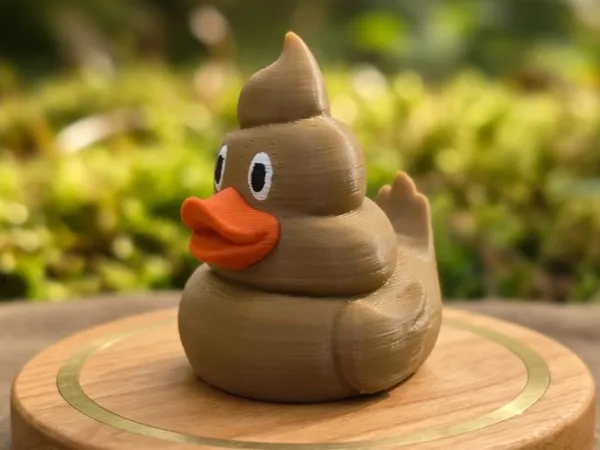 https://makerworld.bblmw.com/makerworld/model/US17aeab176b70aa/design/d0cbf4551d178512.png