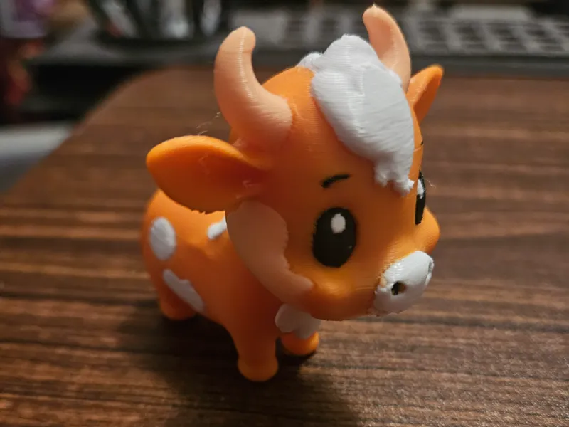 Kacho the cute little cow
