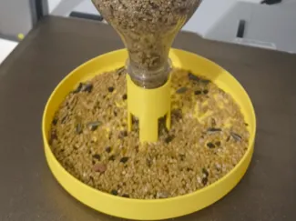 Comedouro para passaros e aves