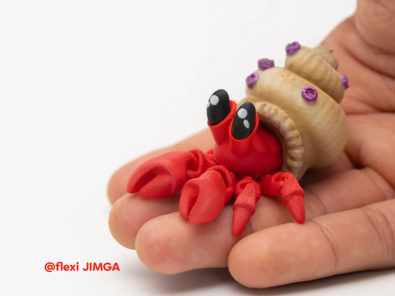 Little Articulated Hermit Crab view 2