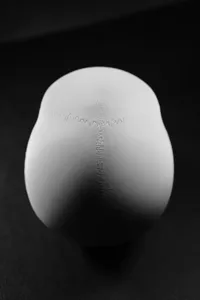 Modèle de crâne pédagogique à mâchoire mobile — photo 4