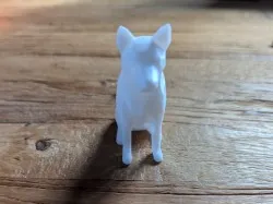 Whit Poly Maker Dog