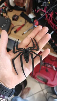 0.08mm layer, 2 walls, 20% infill