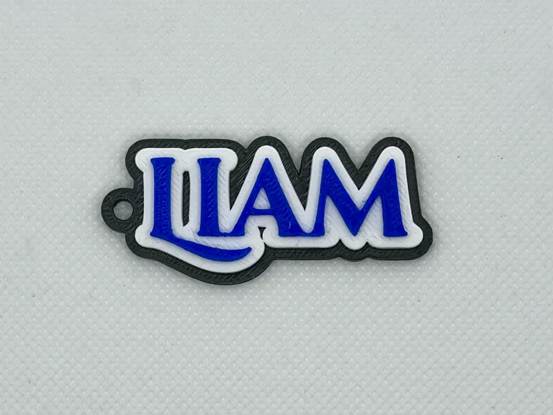 BoldName Custom Name Keychain – Liam Edition