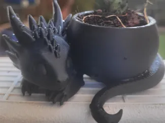dragon planter