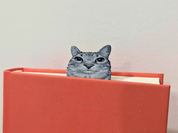 https://makerworld.bblmw.com/makerworld/model/US17c122f0aff19c/design/2025-11-15_d4e52949009718.png