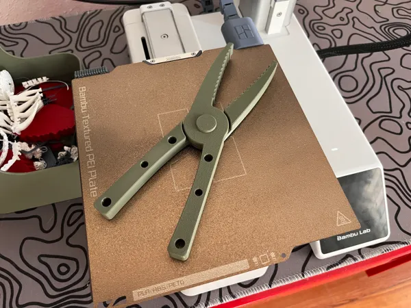 https://makerworld.bblmw.com/makerworld/model/US17c251959a4a68/design/2024-09-25_10cf08da0cd4f8.jpg