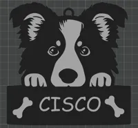 Cisco 0.2mm layer, 2 walls, 15% infill