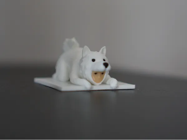 https://makerworld.bblmw.com/makerworld/model/US17c671cdd5635d/design/2024-11-16_52f3df767e8c4.jpg