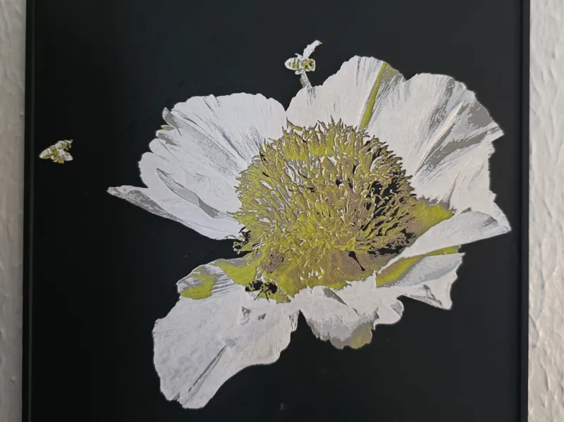 Fried Egg Poppy - hueforge