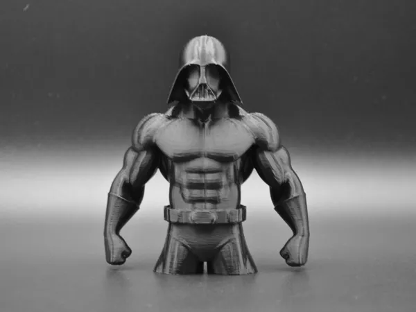 https://makerworld.bblmw.com/makerworld/model/US17d030917e02a1/design/2025-07-02_8343e4eb9bbf68.jpg