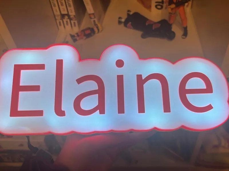 Elaine Dein stilvolles LED-Namenslicht