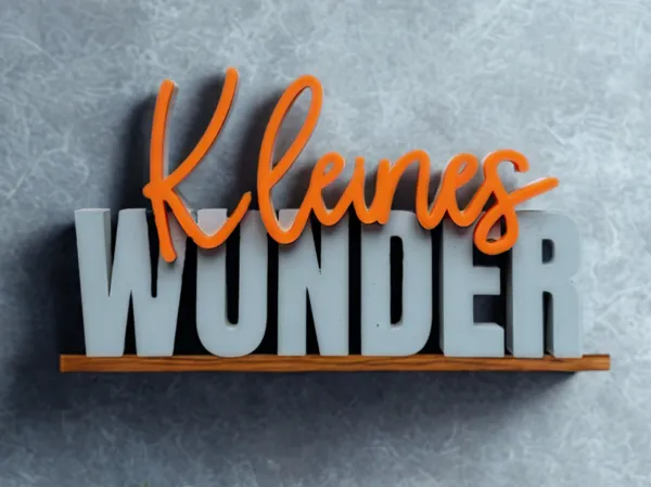 https://makerworld.bblmw.com/makerworld/model/US17d18d423c728e/design/2025-09-29_63285174681078.png