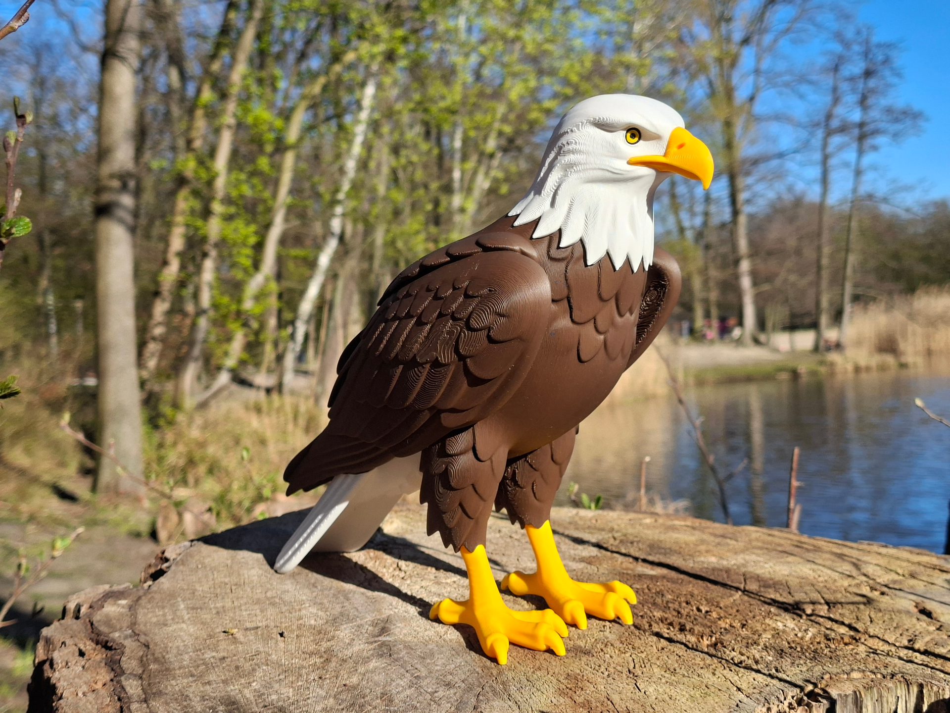Miniatura 1 do modelo 3D Multi-Color Bald Eagle 1:4 Scale