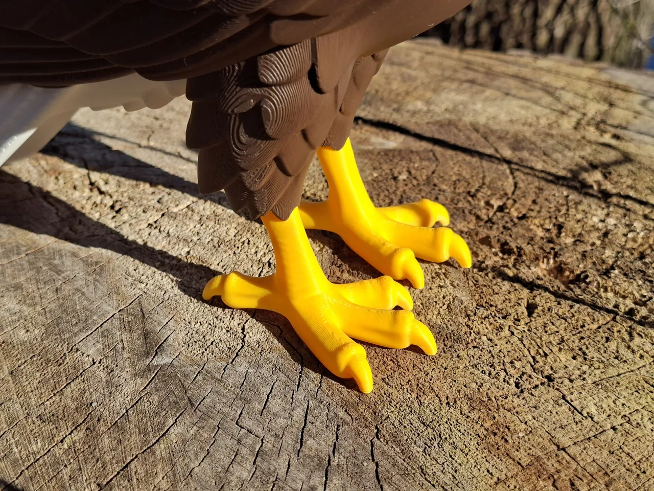 Multi-Color Bald Eagle 1:4 Scale view 3