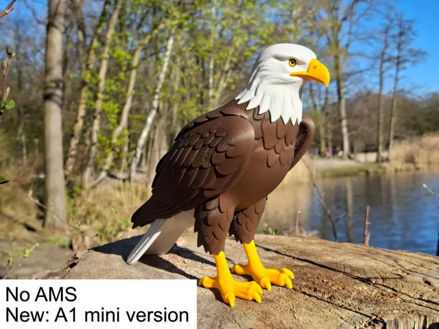 Multi-Color Bald Eagle 1:4 Scale