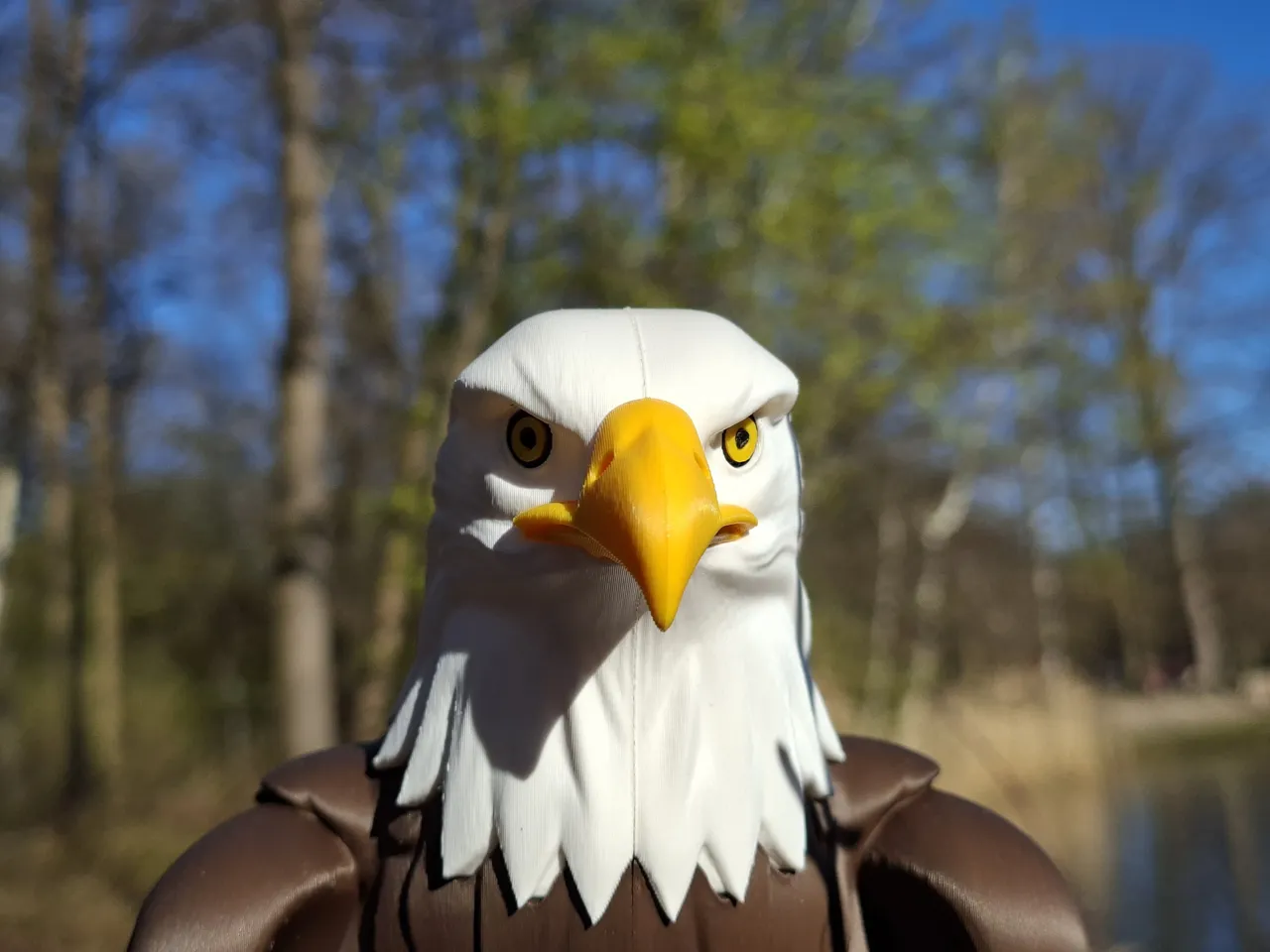 Multi-Color Bald Eagle 1:4 Scale view 4