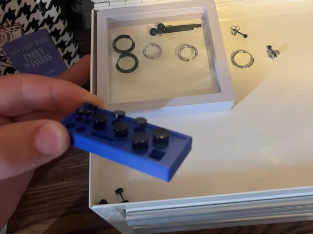 Faux Gauge Earring Holder 3mm to 8mm