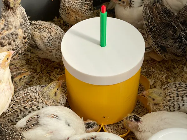 https://makerworld.bblmw.com/makerworld/model/US17d381e01802db/design/2025-08-09_e44a7936251848.jpg