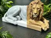 0.16mm layer, 2 walls, 15% infill