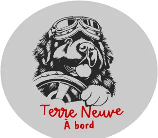 Newfoundland on board