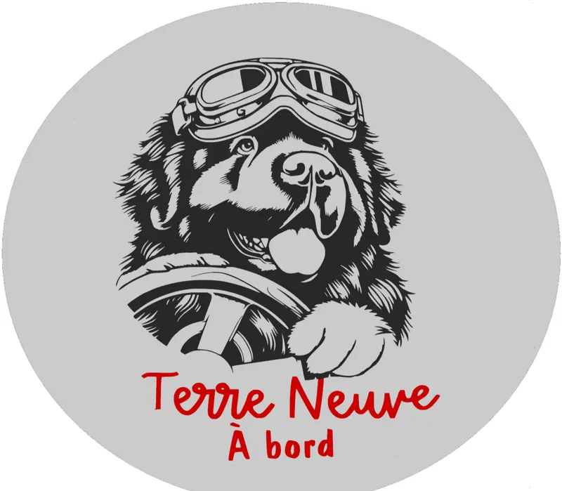 Newfoundland on board