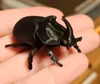 Single Color - 0.12mm layer, 2 walls, 7% infill