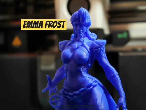 https://makerworld.bblmw.com/makerworld/model/US17e07d4ba103a6/design/2025-05-01_7d75047309efe.jpg