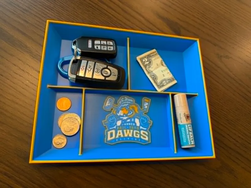 Roanoke Rail Yard Dawgs ~ EDC Dump Tray Organizer
