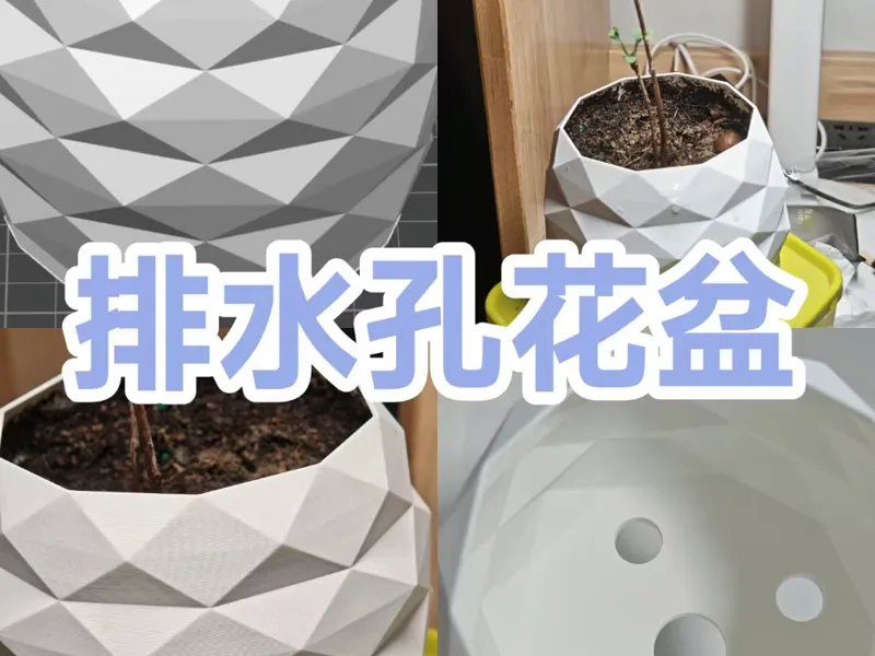 植物小花盆