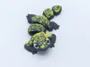 Salamander Keychain