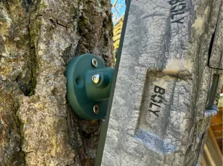 Trail Camera Mount