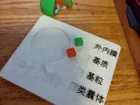 0.2mm 层高, 2 层墙, 15% 填充