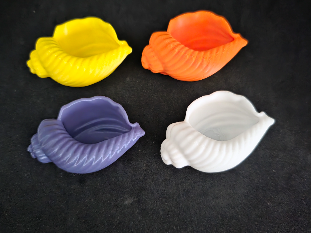 Shell Organizer / Mini Bowl decor