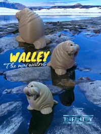 Walley le mini morse — photo 1