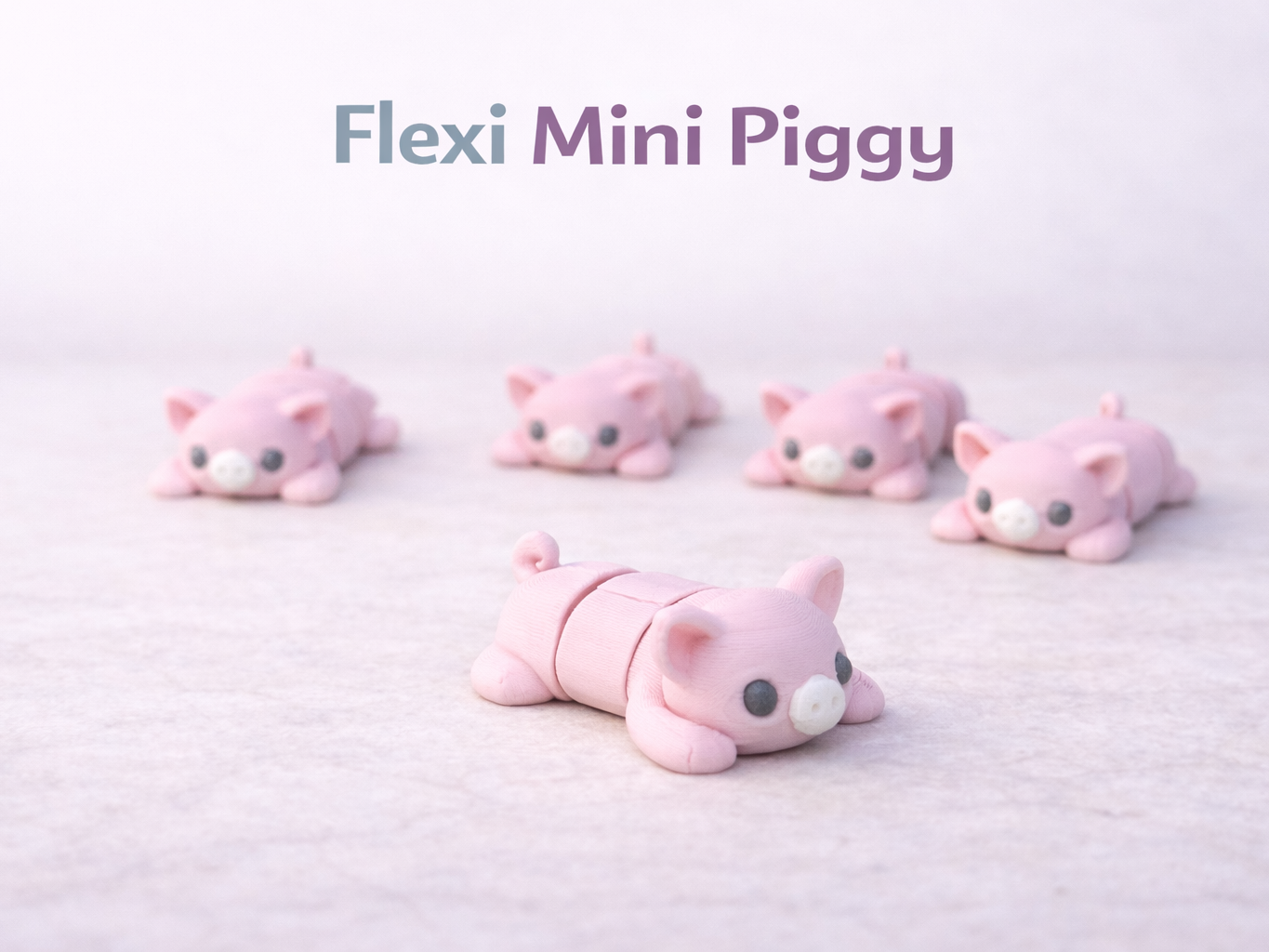 Flexi Mini Piggy