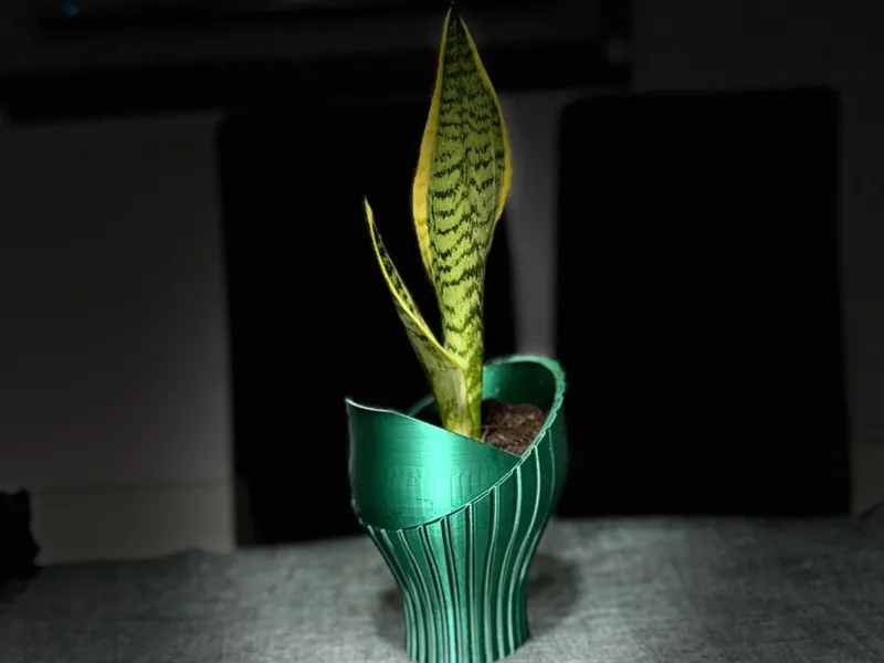 vaso