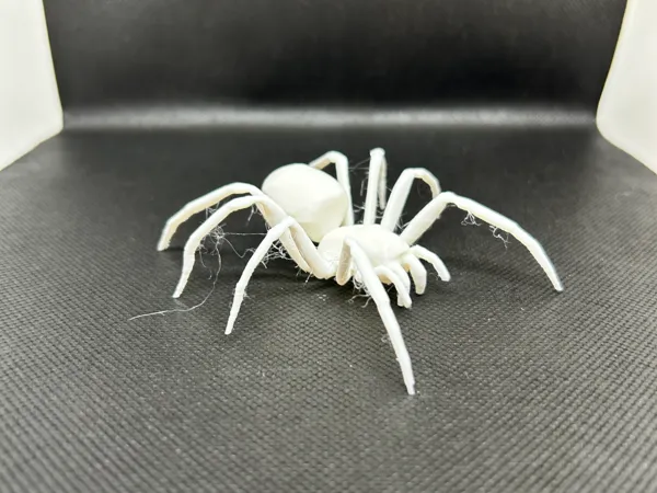 https://makerworld.bblmw.com/makerworld/model/US17f512fcb541c2/design/2024-12-29_cc68fd40e1e09.jpeg