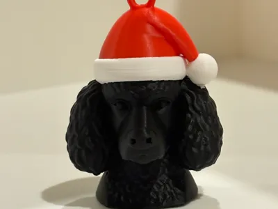 Poodle