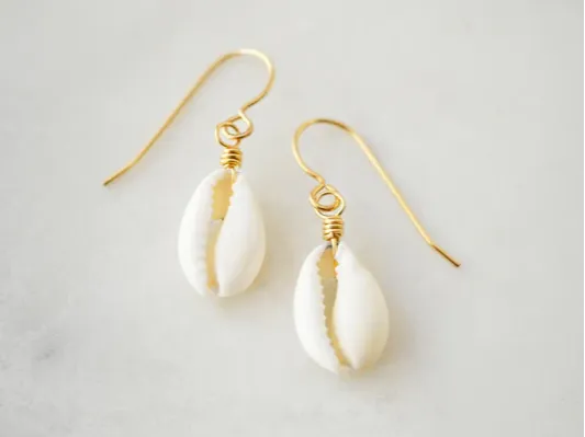 Cowrie Shells